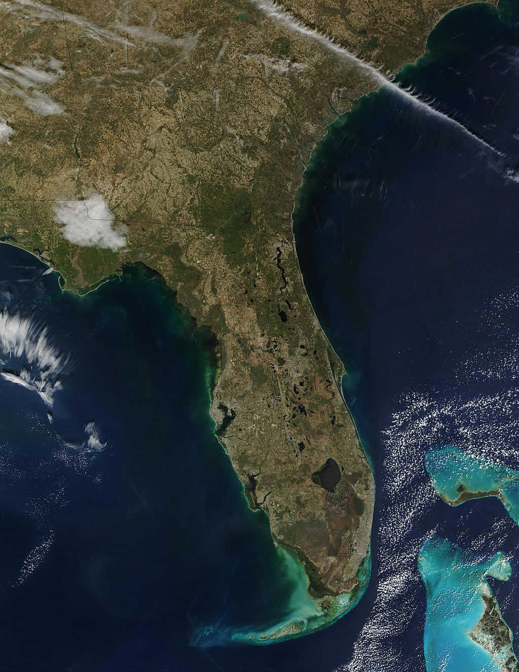 Florida legislature fails on water quality