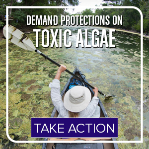 Help protect people and wildlife from toxic algae blooms