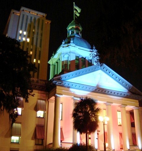 Disappointments and small wins: the 2020 FL Legislature
