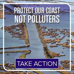 Urgent: Tell LA to hold oil and gas accountable