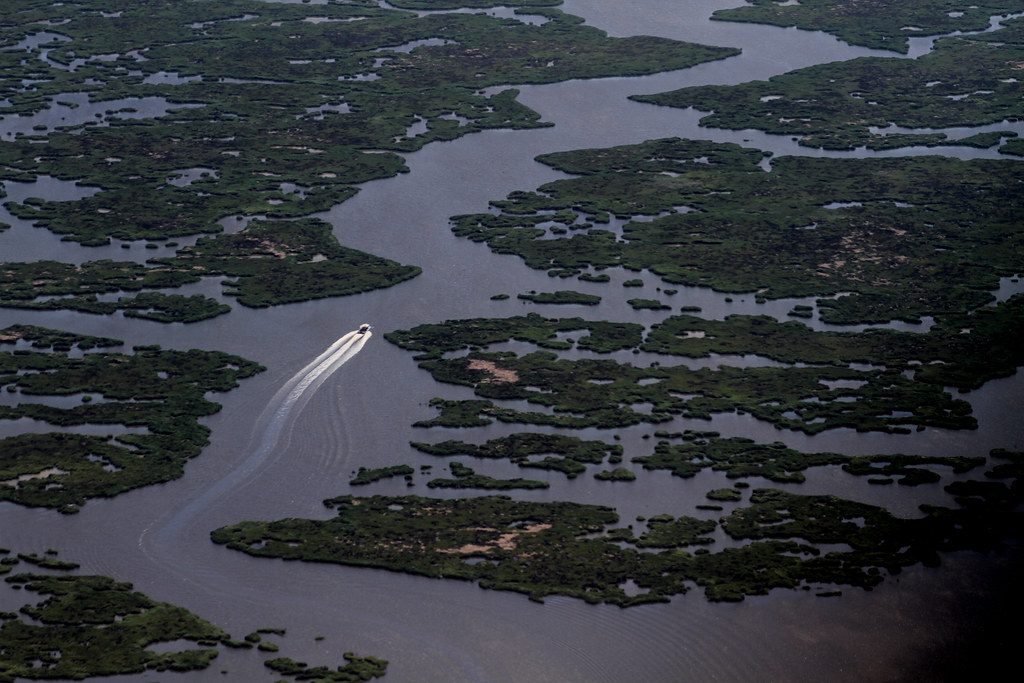 Help Us Lookout for Gulf wetlands