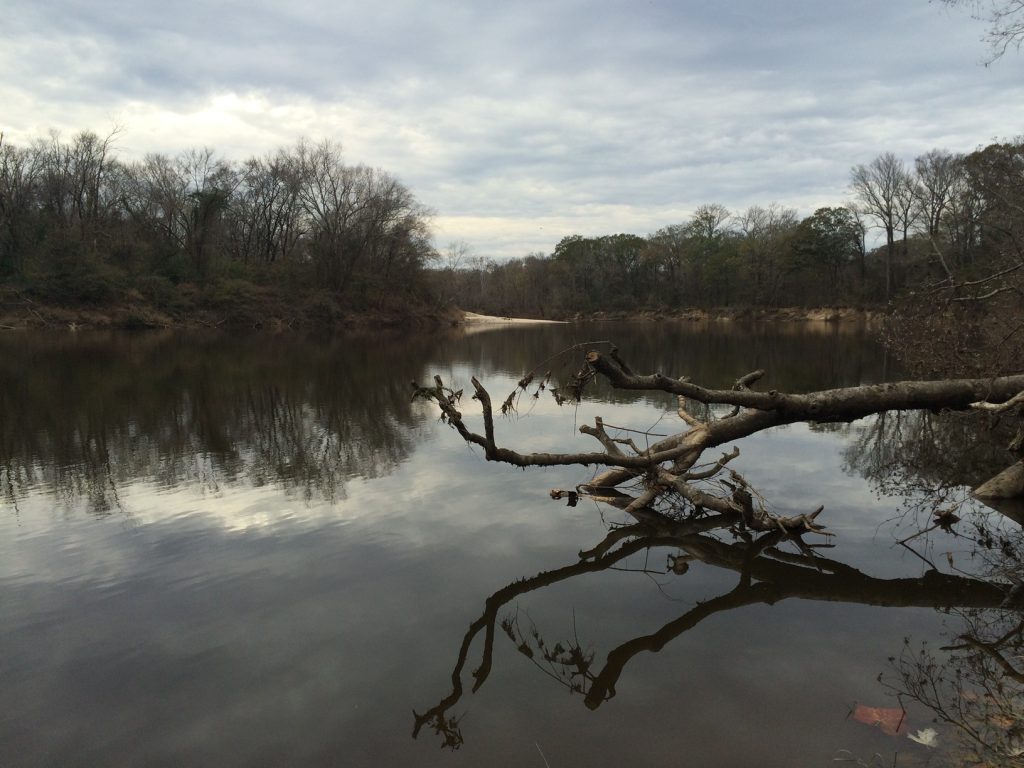 Water quality standards on the Pearl River affect both Mississippi and Louisiana. A winter day in LeFleur's Bluff State Park along the Pearl River in Jackson. Credit: Andrew Whitehurst