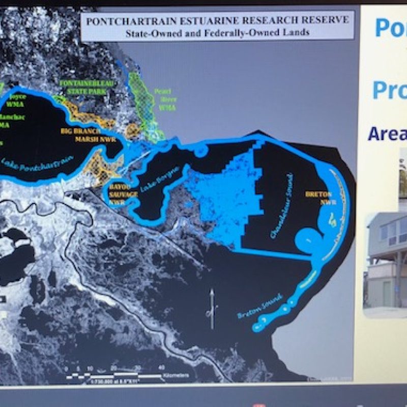 Louisiana National Estuarine Research Reserve Pontchartrain