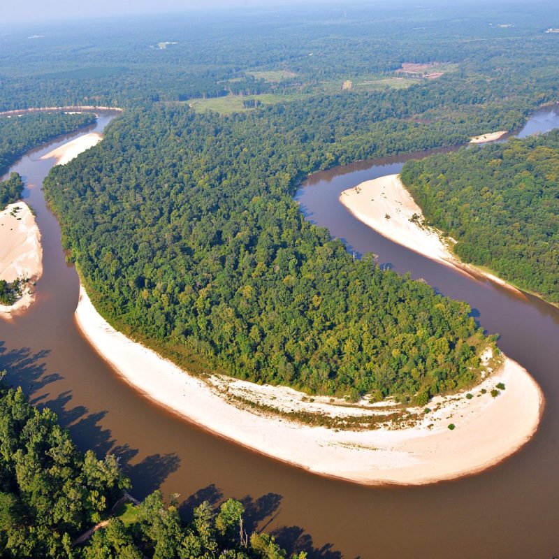 Protect the Pearl River