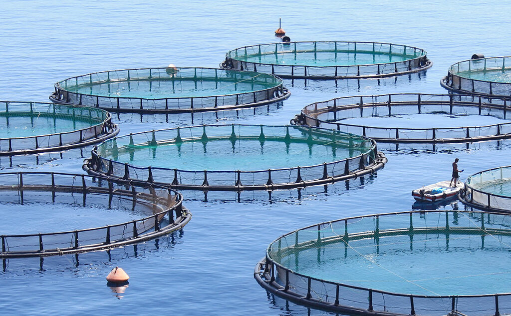 Offshore fish farm pens