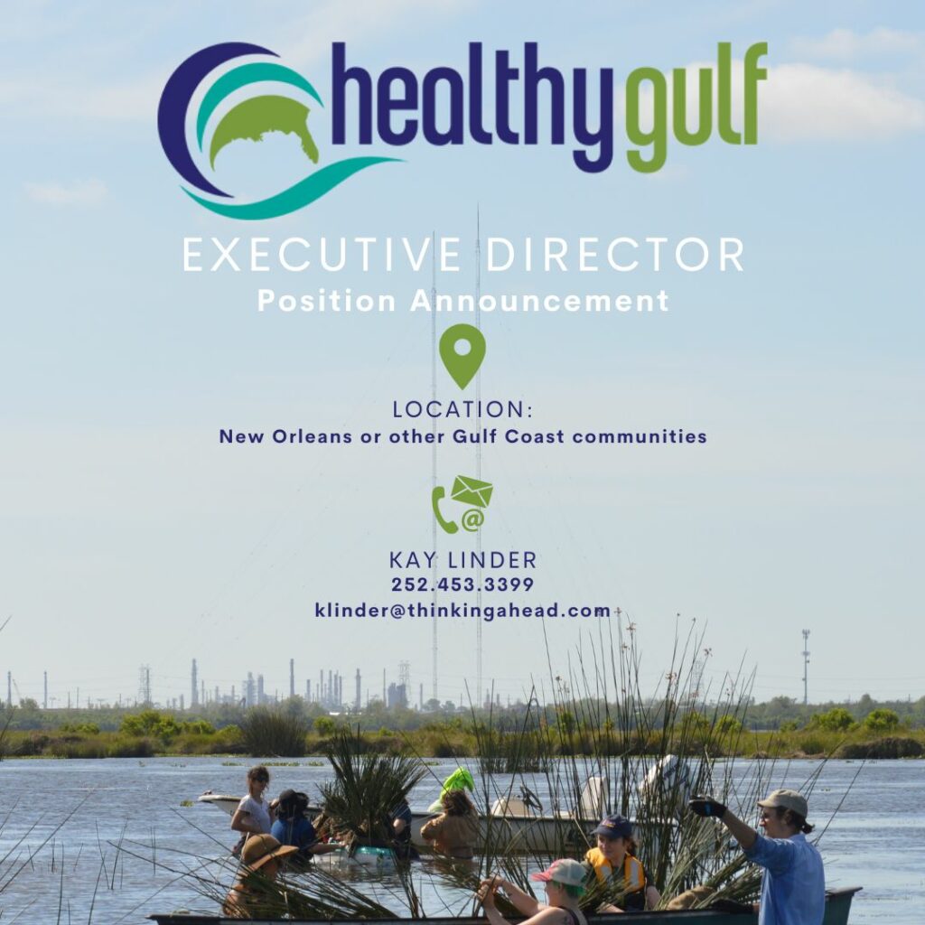 Graphic advertising Executive Director job opportunity at Healthy Gulf.