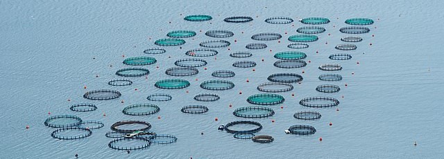 Fish Farms like these in The Gulf would Harm Coastal Communities