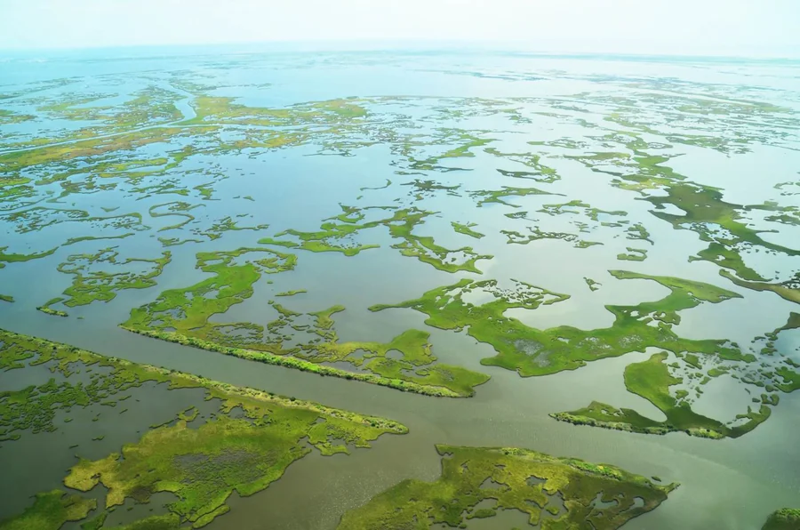 Aerial view of parts of the Barataria Basin, where wetlands have disappeared for decades. Credit NOAA